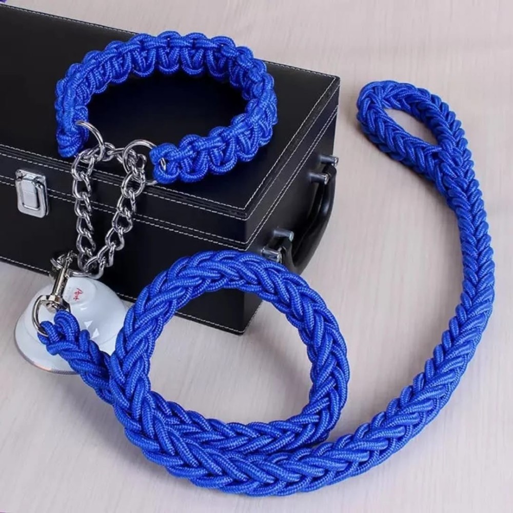 Laisse avec colliers