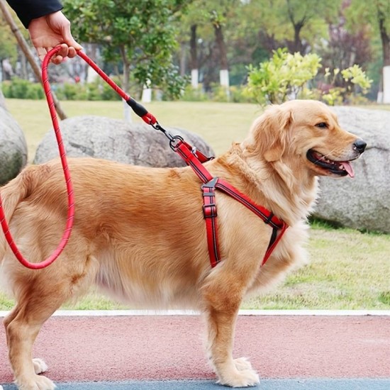 Harnais et laisse pour chien