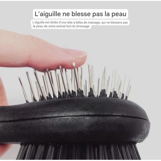 Brosse double face