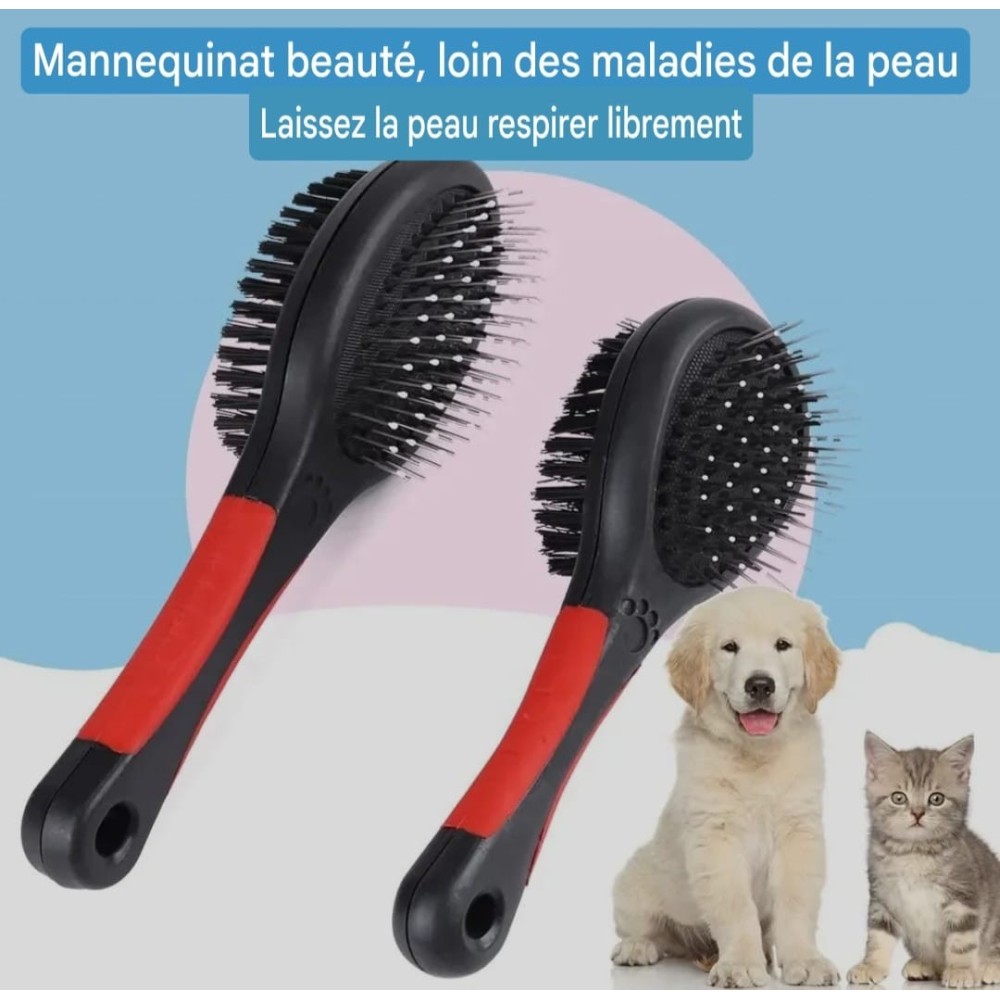 Brosse double face