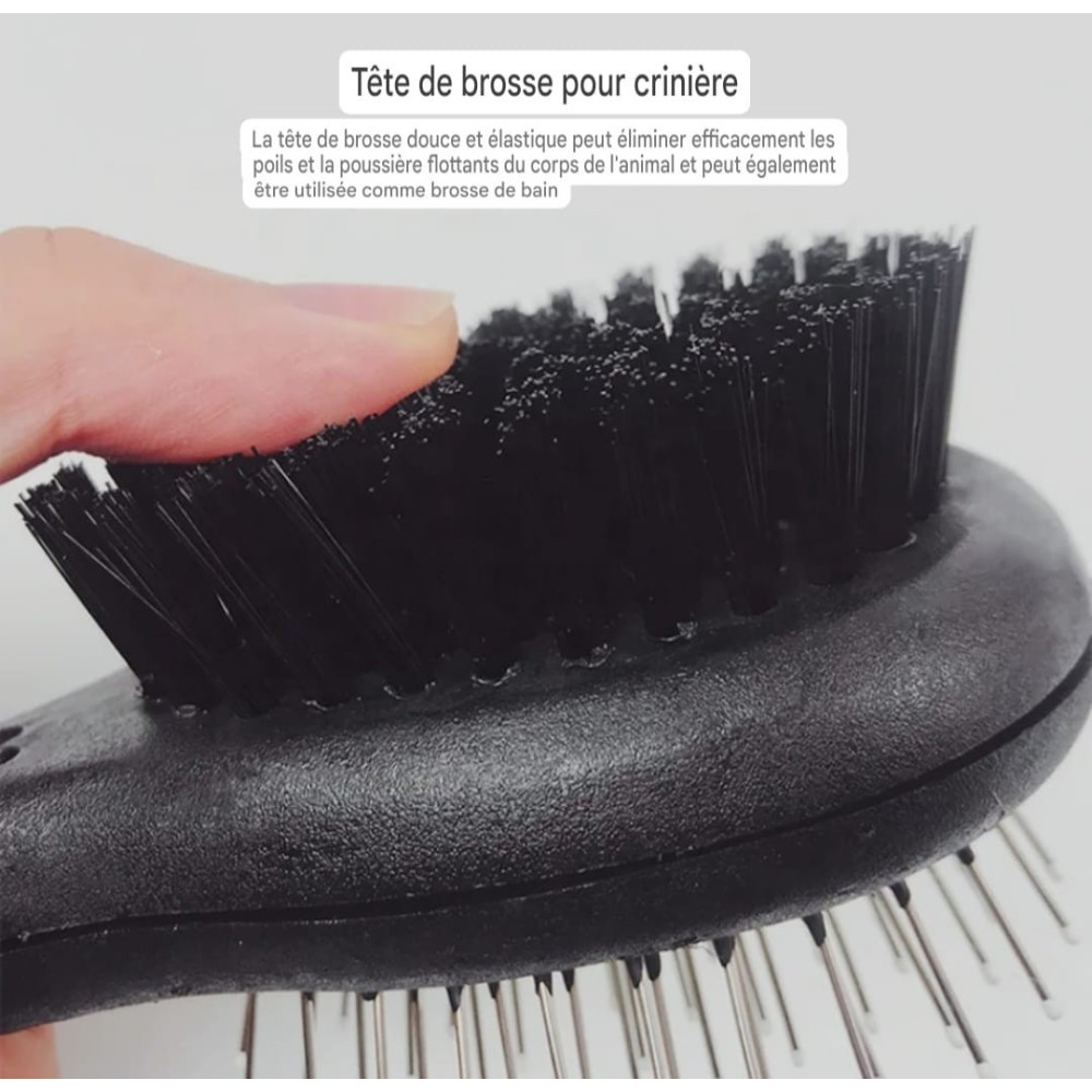 Brosse double face