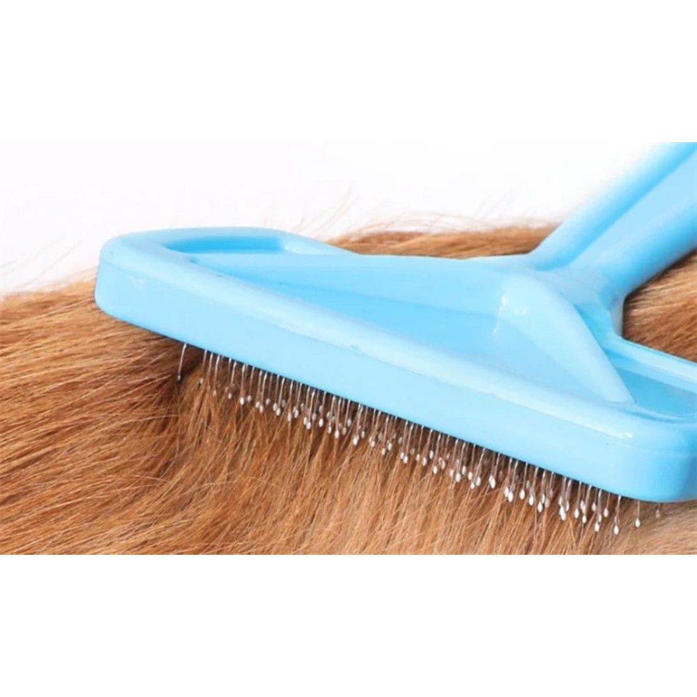 Brosse carde