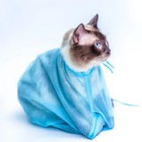 Sac de toilettage pour chat