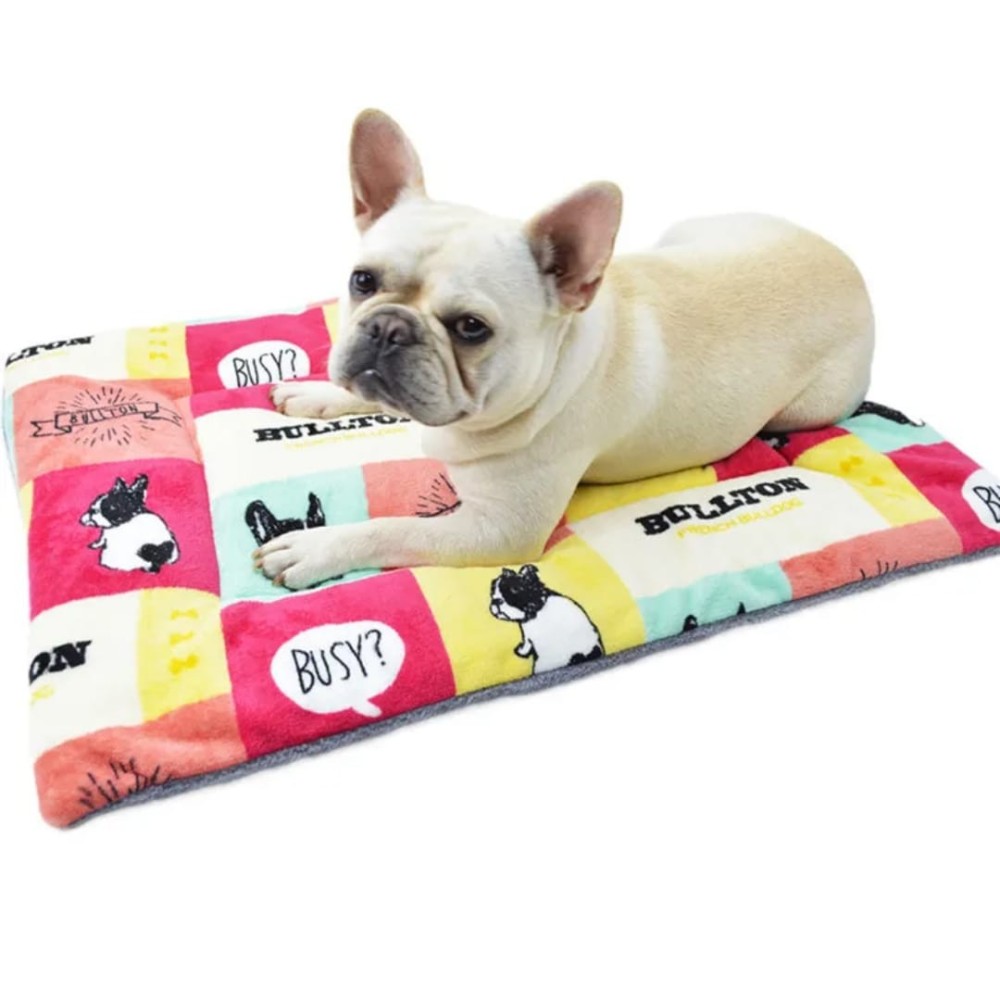 Coussin pour chien
