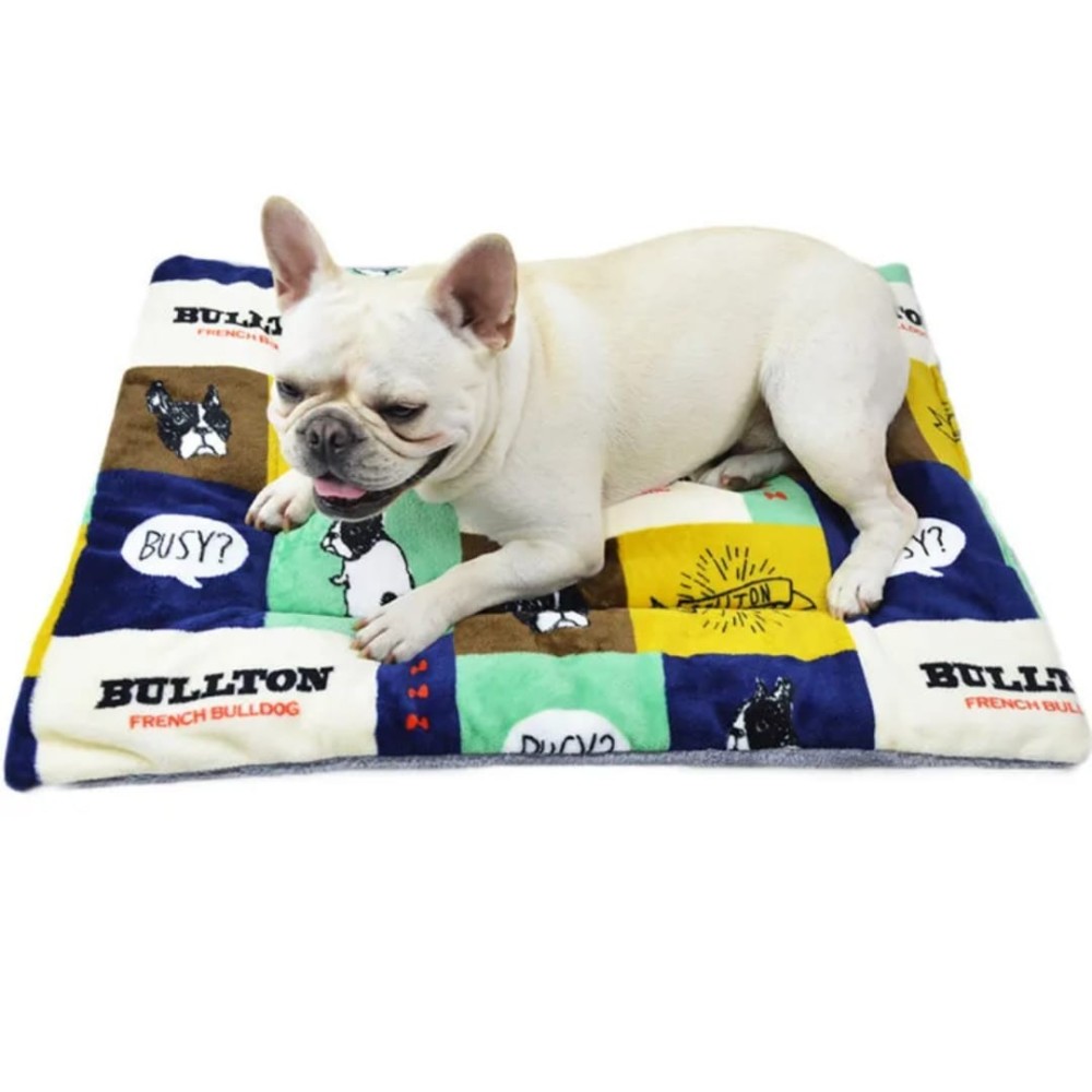 Coussin pour chien