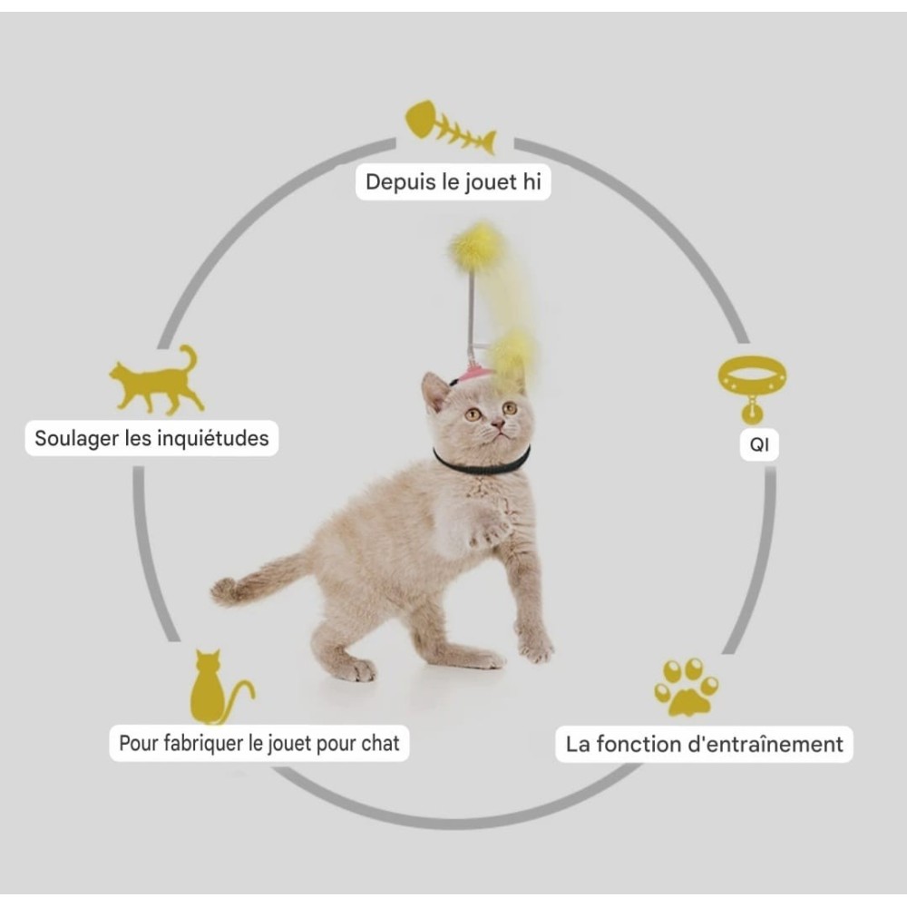 Serre-tête interactif pour chat