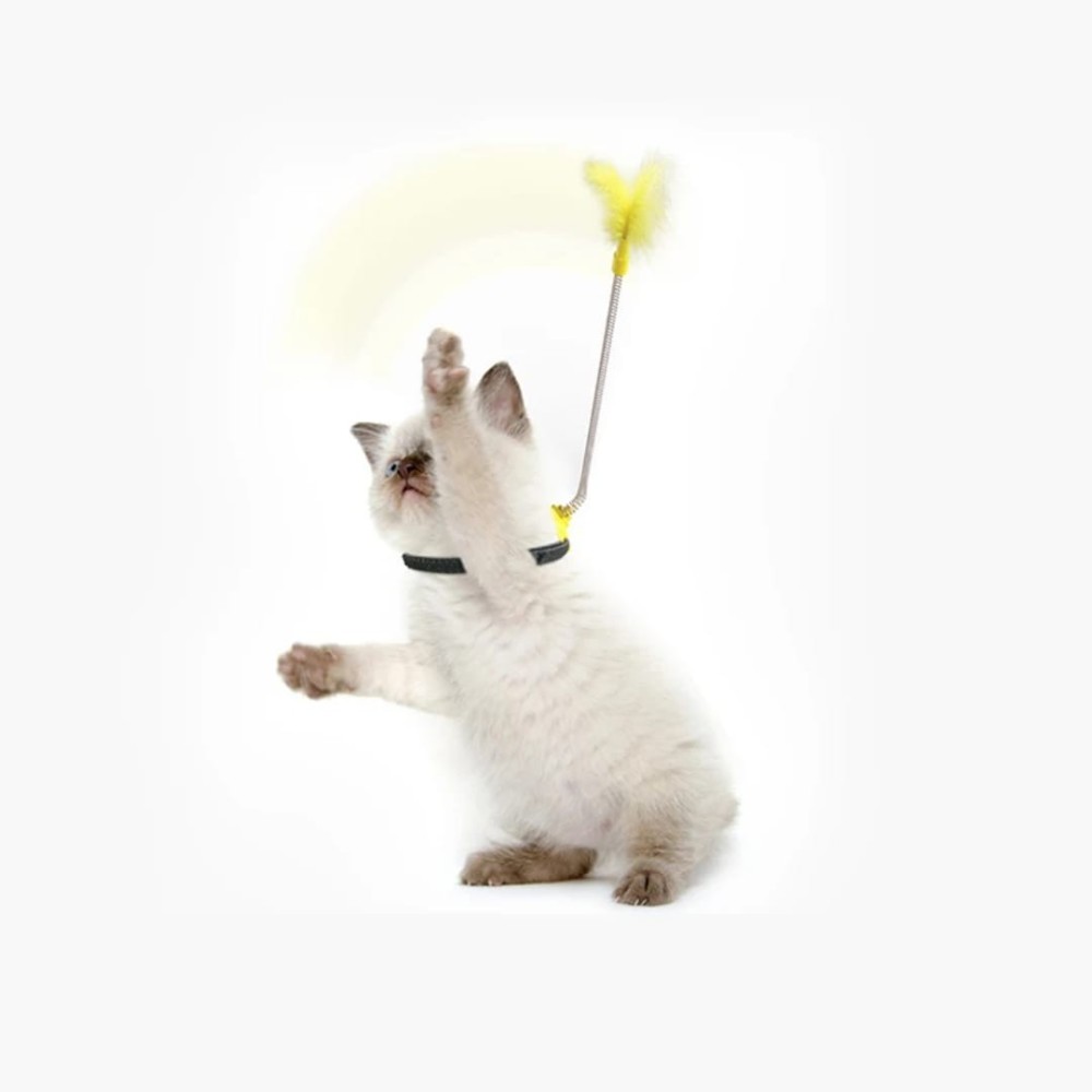 Serre-tête interactif pour chat