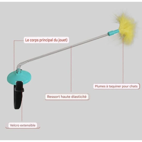 Serre-tête interactif pour chat