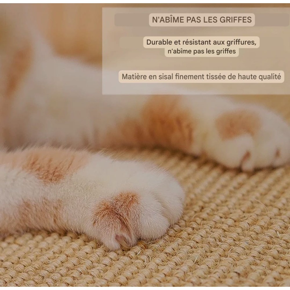 Tapis griffoir pour chat