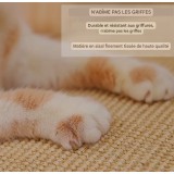 Tapis griffoir pour chat