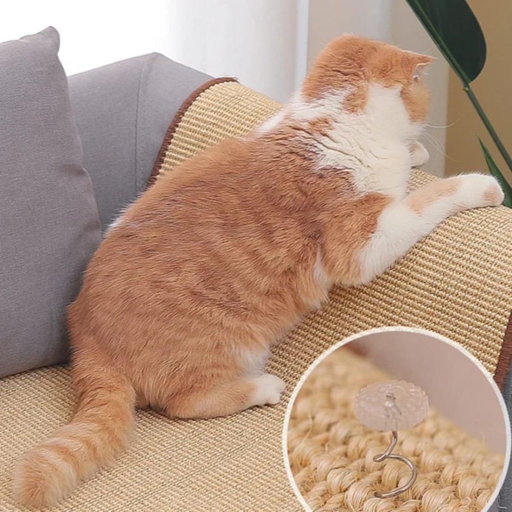 Tapis griffoir pour chat