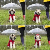 Dogbrella - Parapluie pour chien