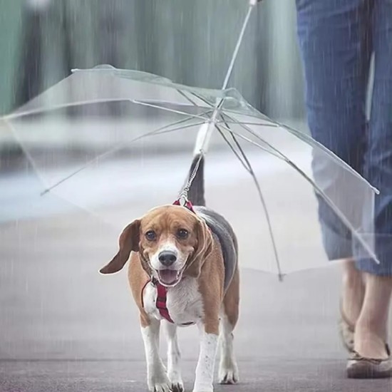 Dogbrella - Parapluie pour chien