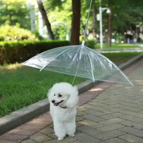 Dogbrella - Parapluie pour chien