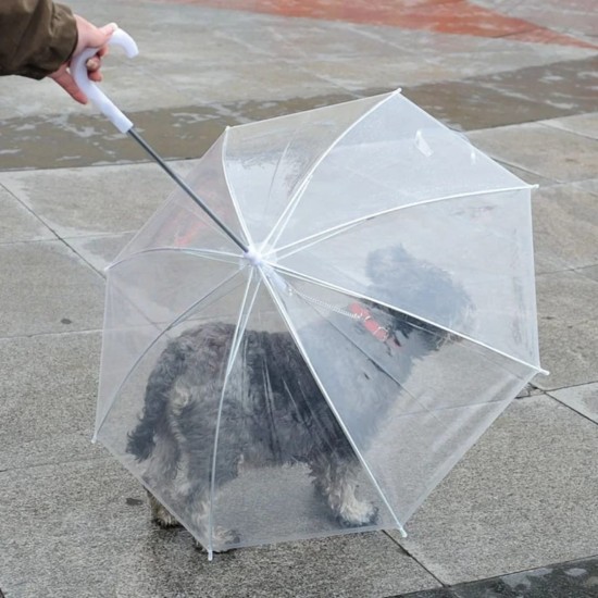 Dogbrella - Parapluie pour chien