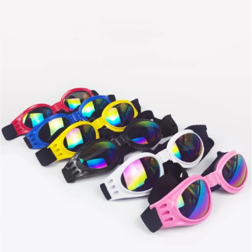 Lunettes de soleil pour chien