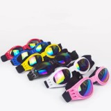 Lunettes de soleil pour chien