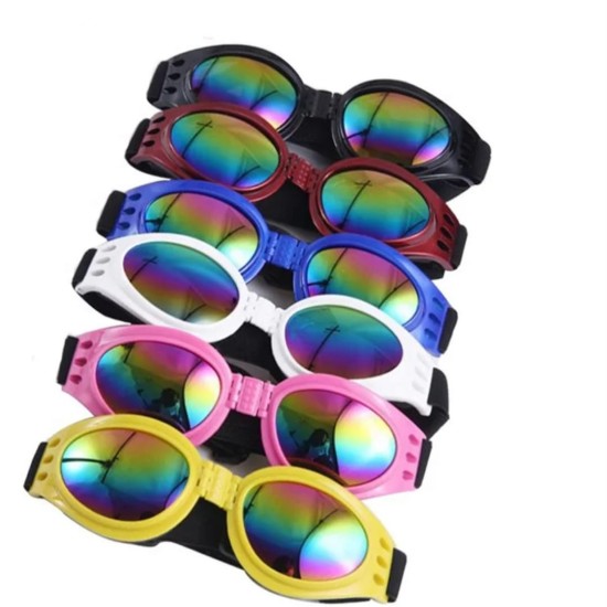 Lunettes de soleil pour chien