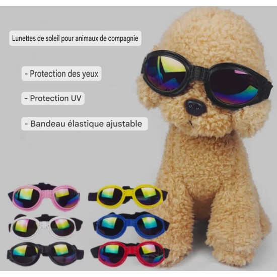 Lunettes de soleil pour chien