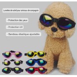 Lunettes de soleil pour chien