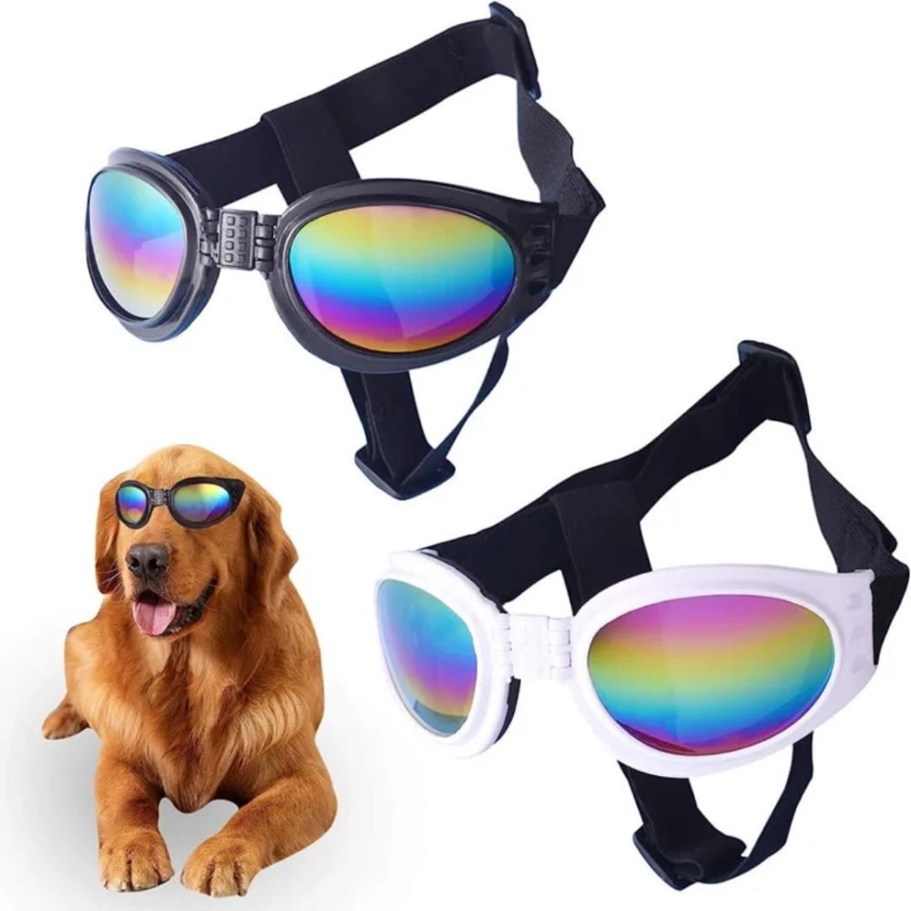 Lunettes de soleil pour chien