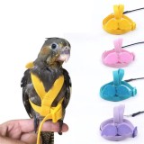 Harnais pour oiseau avec laisse