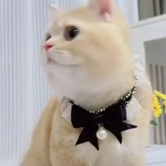 Collier en dentelle