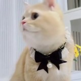 Collier en dentelle