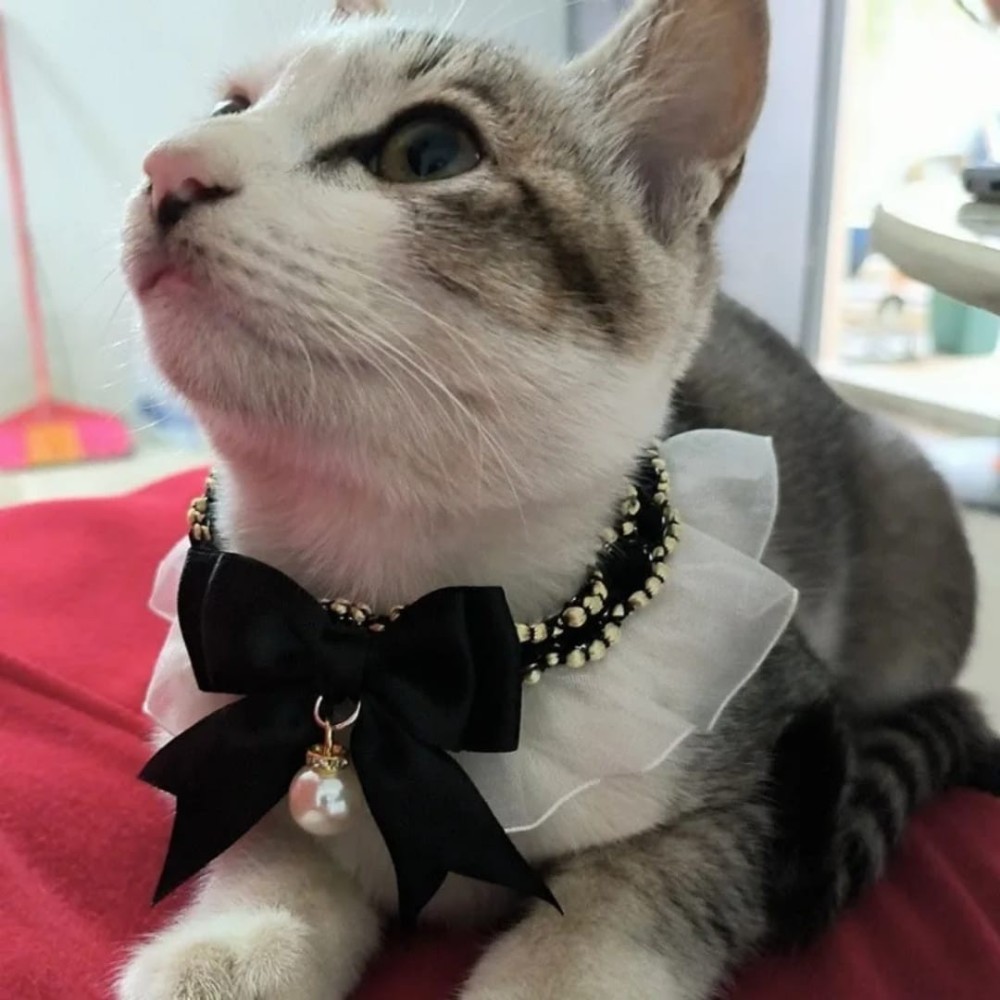 Collier en dentelle