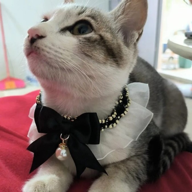 Collier en dentelle