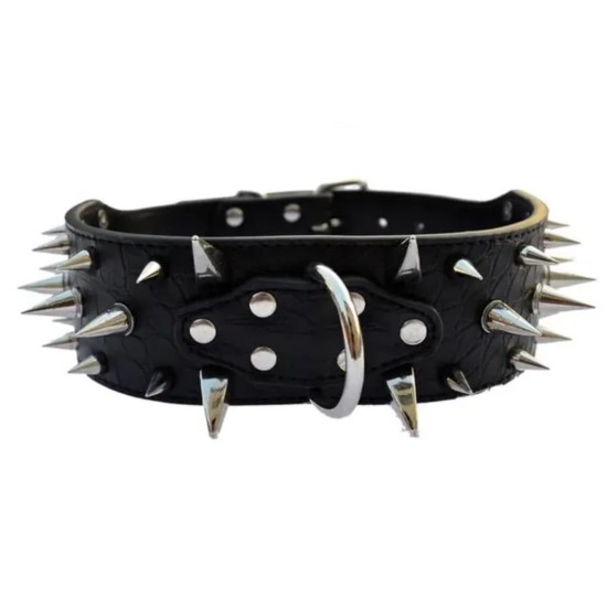 Collier clouté pour chien