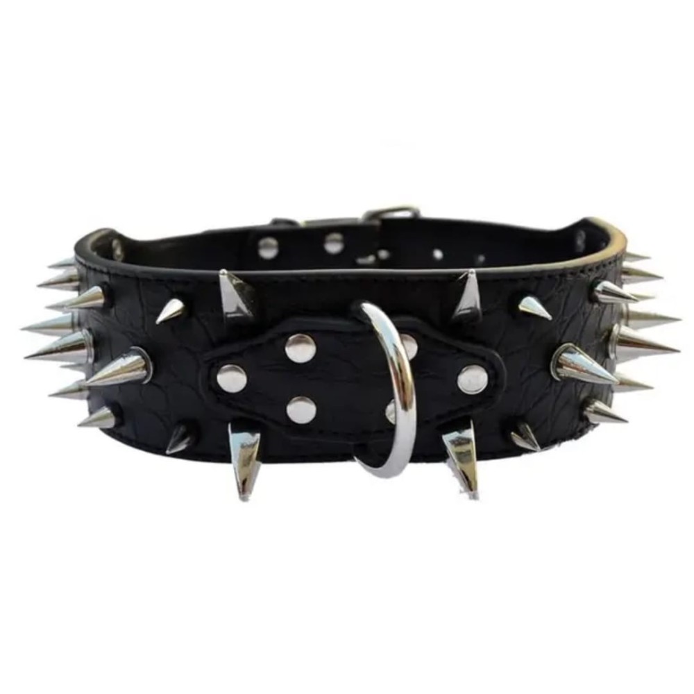 Collier clouté pour chien