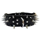 Collier clouté pour chien