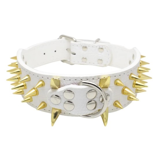 Collier clouté pour chien