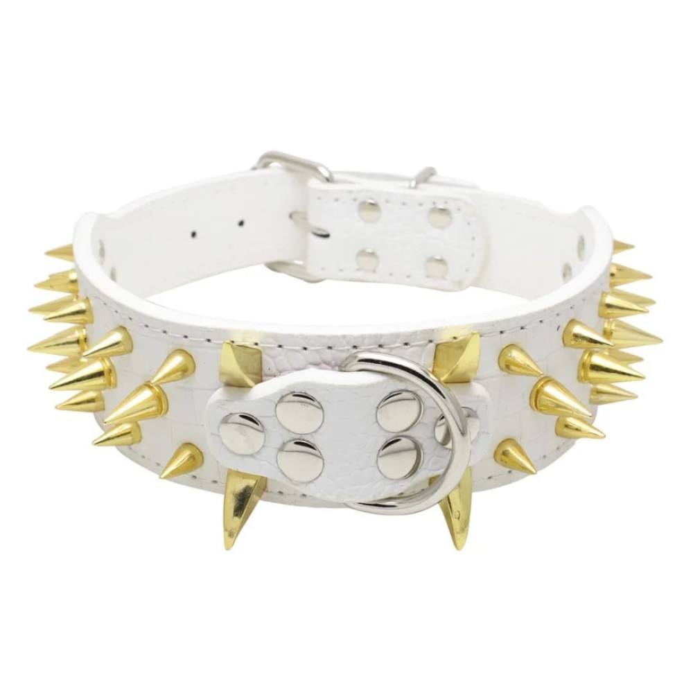 Collier clouté pour chien