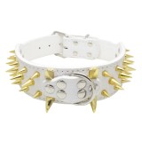 Collier clouté pour chien