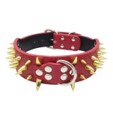 Collier clouté pour chien