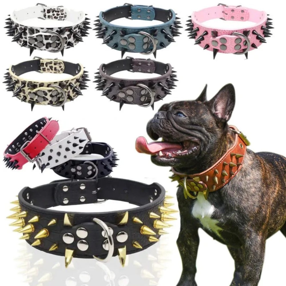 Collier clouté pour chien