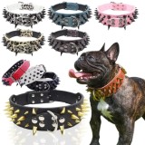 Collier clouté pour chien
