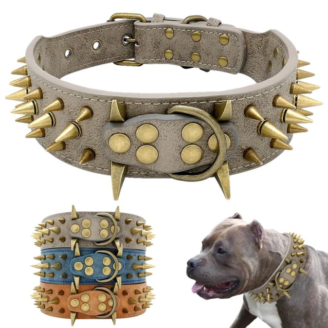 Collier clouté pour chien