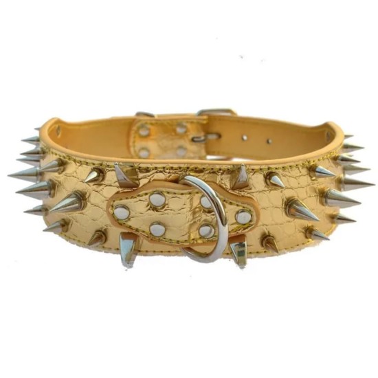 Collier clouté pour chien
