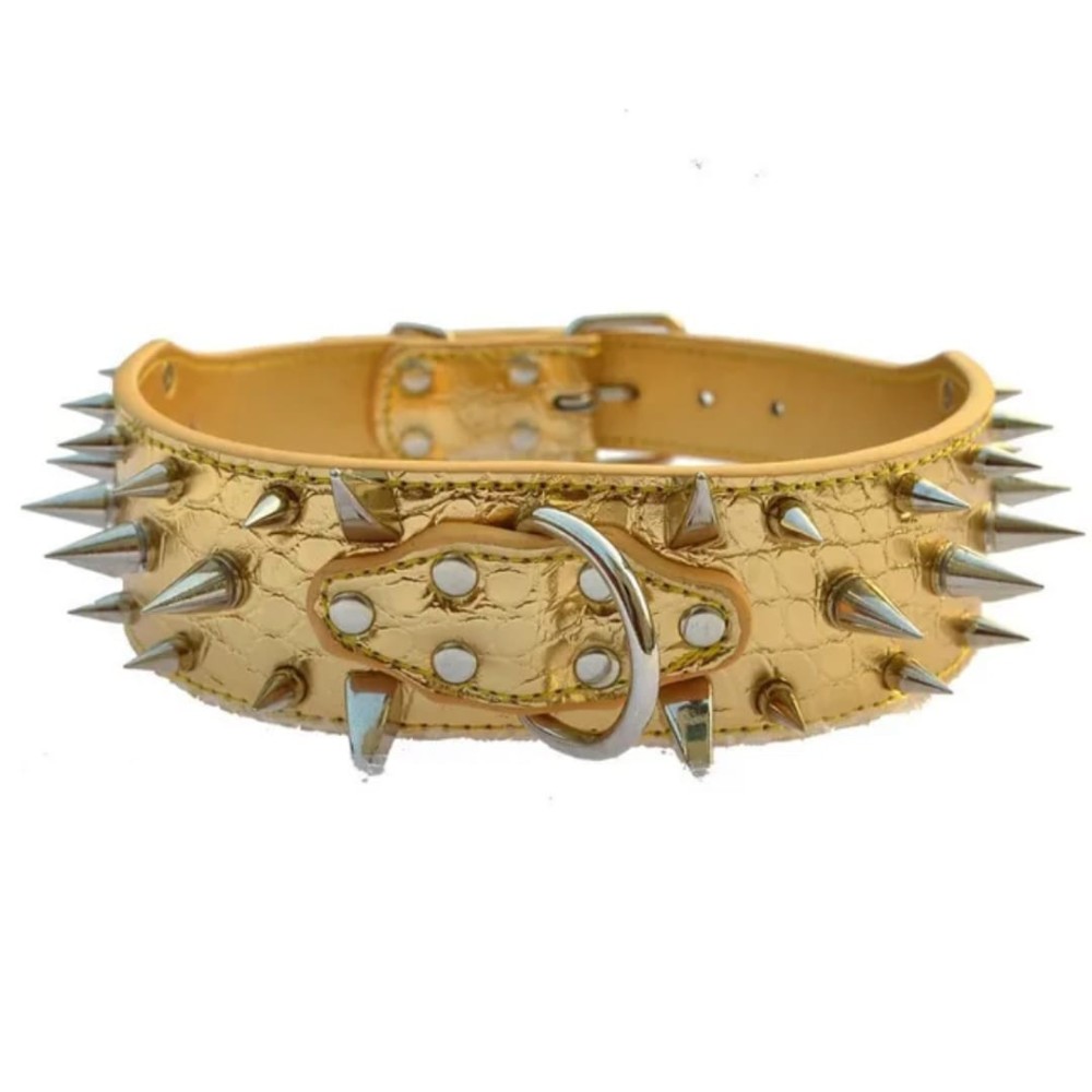Collier clouté pour chien