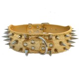 Collier clouté pour chien