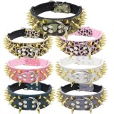 Collier clouté pour chien