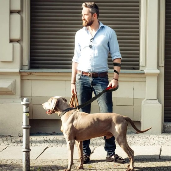 Laisse pour chien à double poignée.