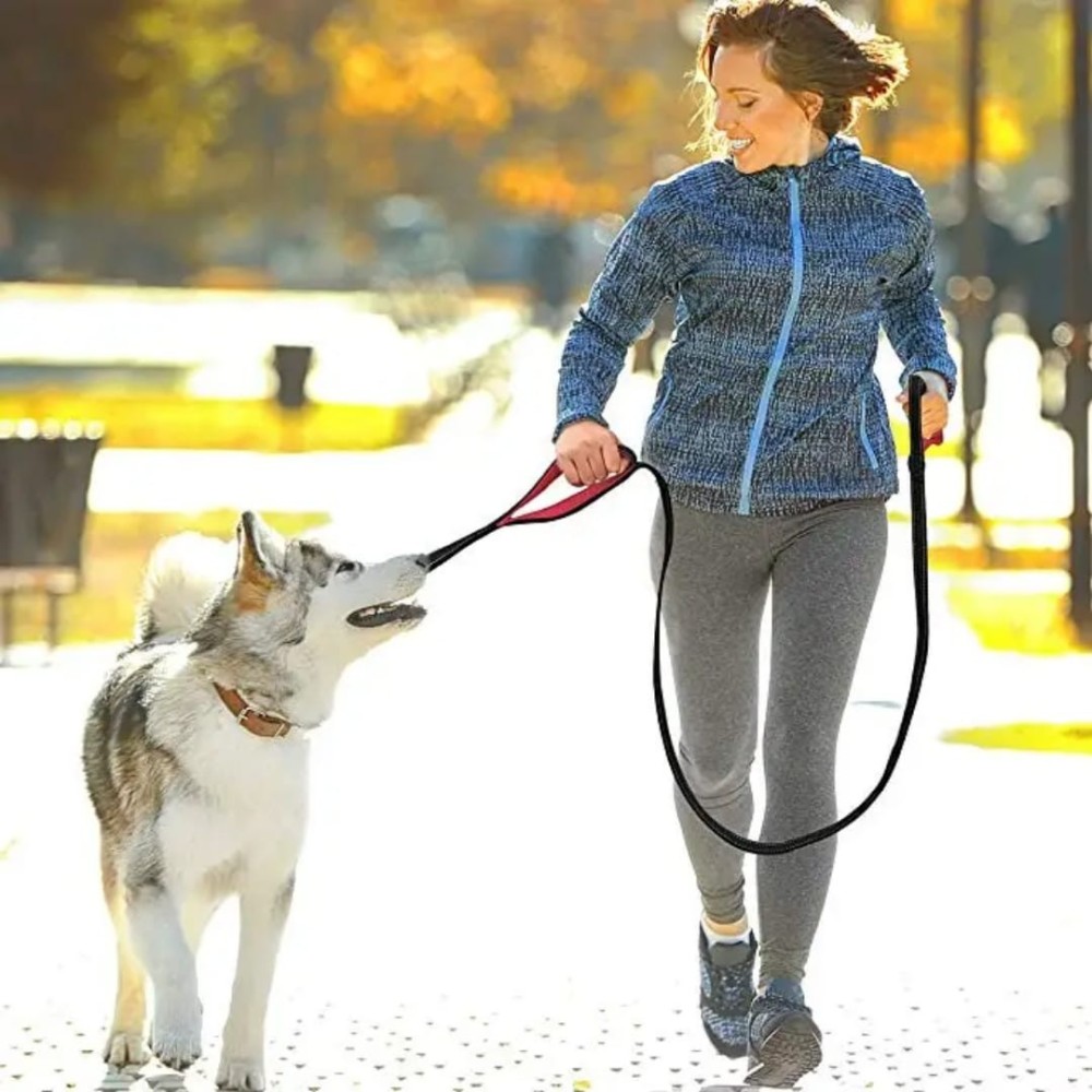 Laisse pour chien à double poignée.