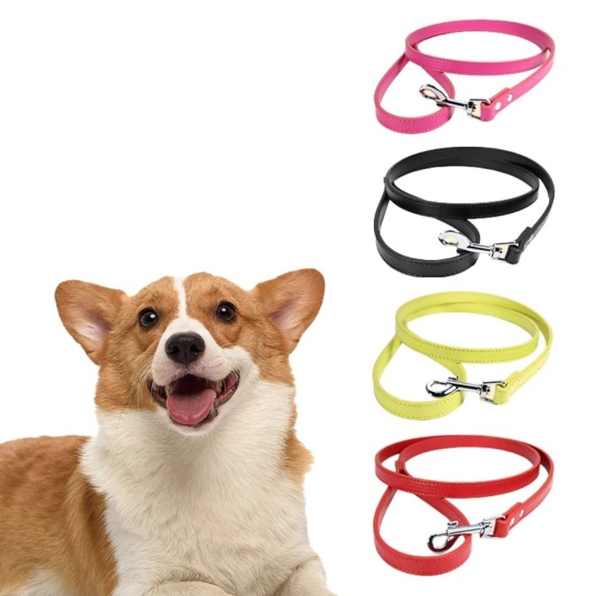 Laisse cuir synthétique pour chien