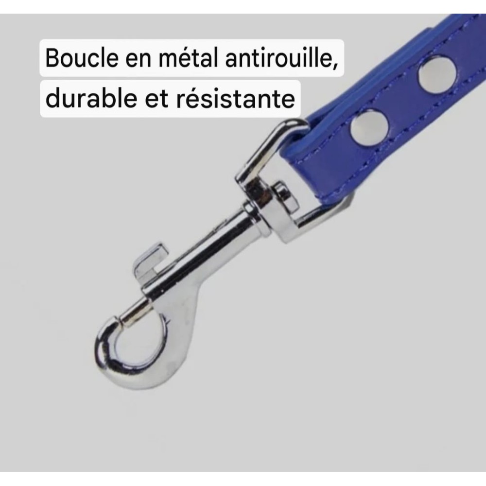 Laisse cuir synthétique pour chien